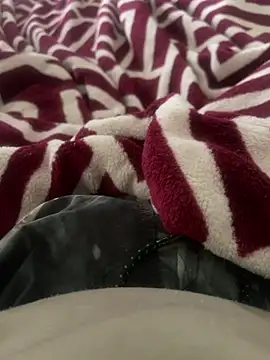 BCFZD online show from November 13, 1:04 pm