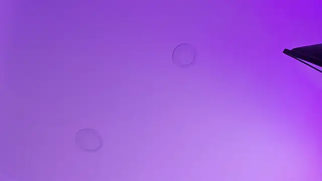 kathy bakerr online show from March 18, 1:24 pm