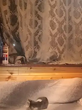 rosse26830 online show from September 28, 4:25 pm