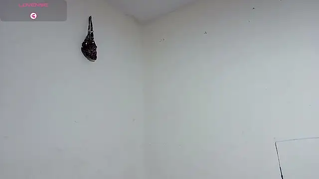 Snapshot of boysLittle chatting on February 7, 10:45 am boysLittle online show from February 7, 10:45 am