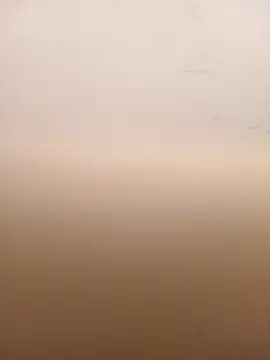 mario0212 online show from March 6, 11:49 am