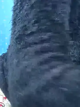 Snapshot of Snehalive chatting on November 26, 5:07 am Snehalive online show from November 26, 5:07 am