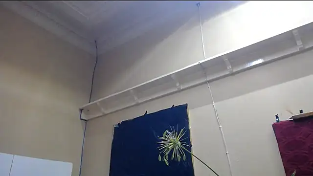 Snapshot of TALLSWATIBIACH chatting on March 1, 11:04 pm TALLSWATIBIACH online show from March 1, 11:04 pm