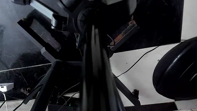 TaniaBellini online show from January 31, 6:03 pm