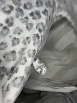 VioletxBlue online show from March 28, 11:33 am