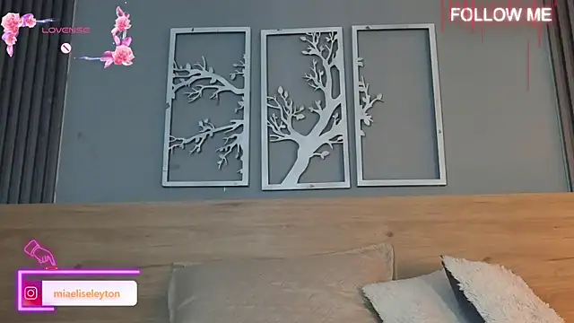 Elise-Leyton online show from April 30, 8:57 pm