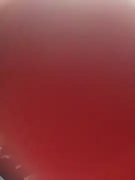 blondaf online show from November 25, 5:30 am