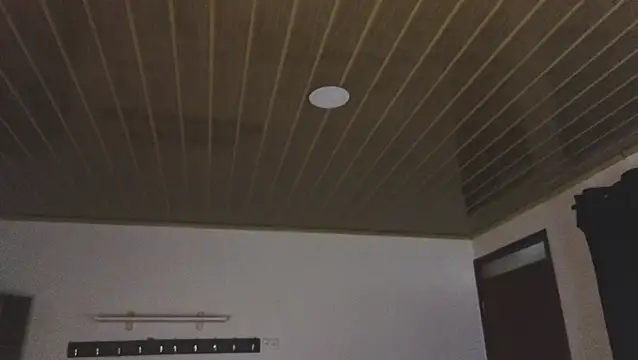 Renaxi Smith online show from March 21, 7:51 pm