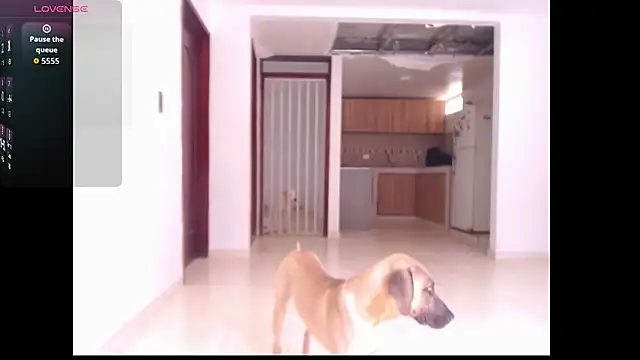 Snapshot of leslycarsson chatting on October 7, 7:15 pm leslycarsson online show from October 7, 7:15 pm