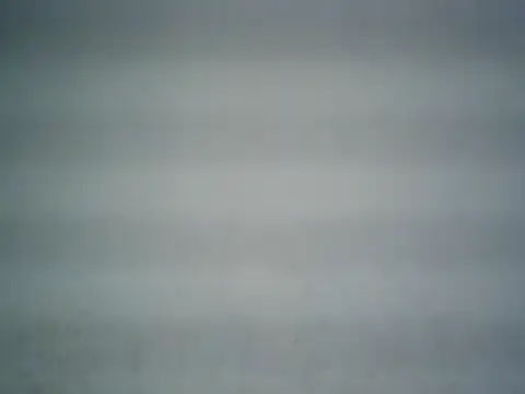 michel1520 online show from June 14, 6:36 am