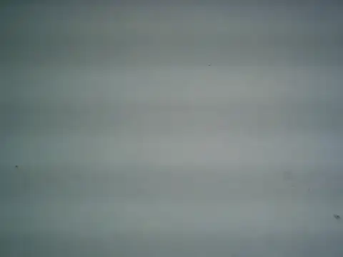 michel1520 online show from June 27, 12:27 am