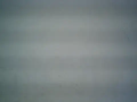 michel1520 online show from May 26, 4:32 am