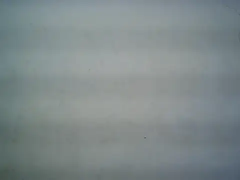 michel1520 online show from July 16, 11:29 am