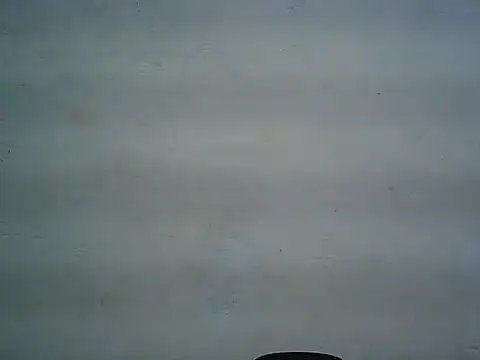 michel1520 online show from May 11, 7:43 am