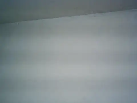 michel1520 online show from June 16, 2:17 pm