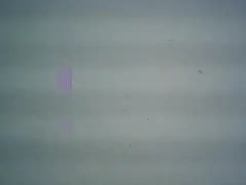 michel1520 online show from April 11, 11:30 pm