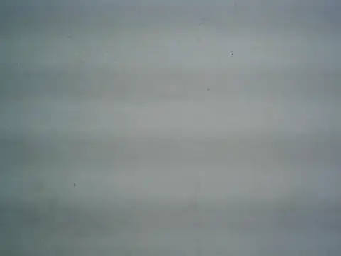michel1520 online show from July 24, 3:24 am