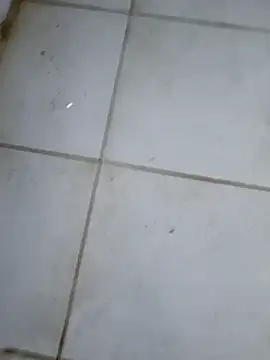 sexodoll1990 online show from February 16, 1:59 am