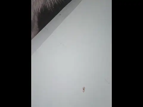 dany hardy online show from January 10, 10:05 pm