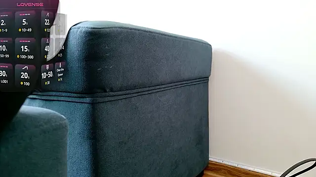 anan2025 online show from March 12, 9:24 am