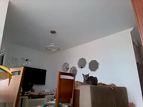 Munnoki online show from March 1, 10:37 am