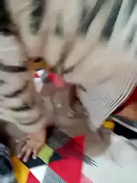 Snapshot of rameshjisex chatting on December 2, 3:47 pm rameshjisex online show from December 2, 3:47 pm