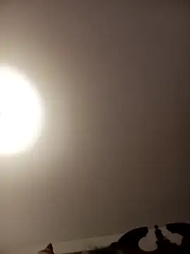 sofia6161 online show from January 18, 7:59 am