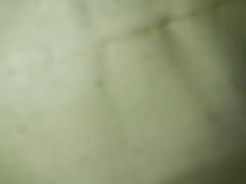 Snapshot of Ktosik88 chatting on January 18, 7:50 pm Ktosik88 online show from January 18, 7:50 pm