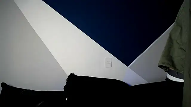 Baan10 online show from February 7, 1:32 pm