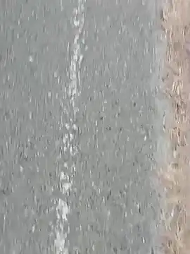 Snapshot of Jinenez chatting on February 27, 10:20 pm Jinenez online show from February 27, 10:20 pm