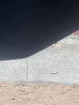 Snapshot of Jinenez chatting on March 16, 12:00 pm Jinenez online show from March 16, 12:00 pm