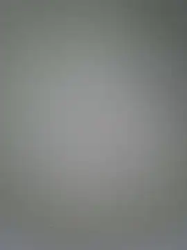 Snapshot of Jinenez chatting on March 20, 11:23 pm Jinenez online show from March 20, 11:23 pm