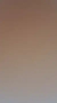 Snapshot of Jinenez chatting on March 19, 11:57 pm Jinenez online show from March 19, 11:57 pm