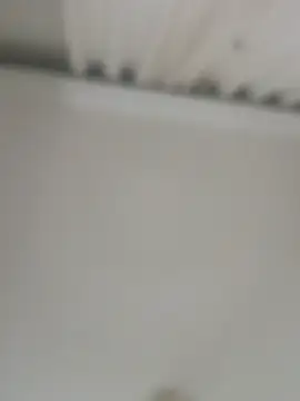 Snapshot of jacaranduba07 chatting on February 27, 8:24 am jacaranduba07 online show from February 27, 8:24 am