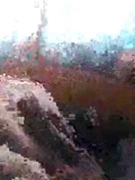 LaneYam online show from July 8, 6:36 am