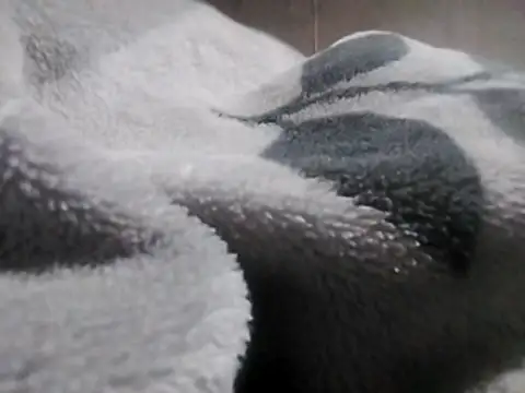 LaneYam online show from March 12, 8:24 pm