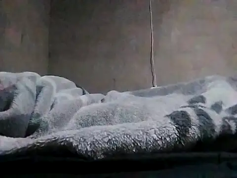 LaneYam online show from March 24, 8:09 pm