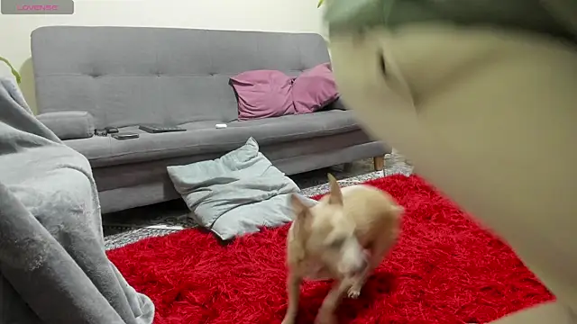 Salvatore costa online show from September 19, 12:36 am