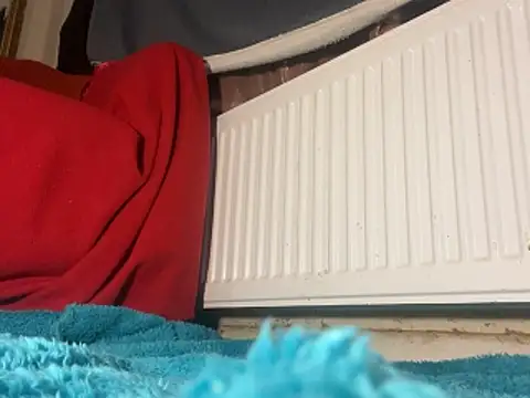 iccmananal online show from December 23, 2:44 am