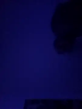 Paolo7619 online show from January 7, 7:02 am