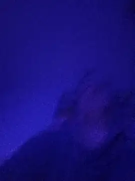 Paolo7619 online show from November 3, 5:05 pm