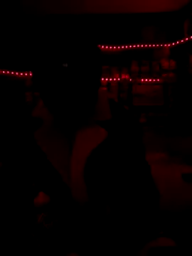 Snapshot of Blade_Ryder666 chatting on December 17, 7:57 am Blade Ryder666 online show from December 17, 7:57 am