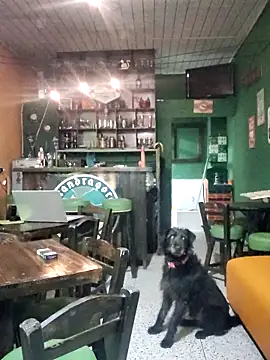 ilonna2025 online show from March 15, 11:34 pm