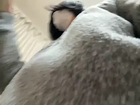 riri riri jp online show from February 28, 10:26 am