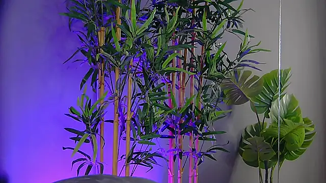 Snapshot of PatriciaSpice chatting on November 9, 5:22 am PatriciaSpice online show from November 9, 5:22 am