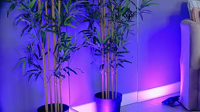 Snapshot of PatriciaSpice chatting on November 13, 5:22 am PatriciaSpice online show from November 13, 5:22 am