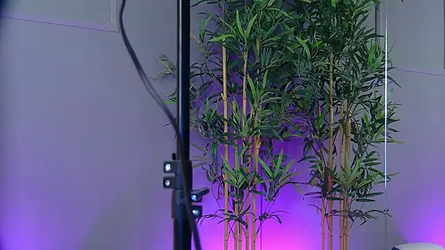 PatriciaSpice online show from January 15, 5:33 am