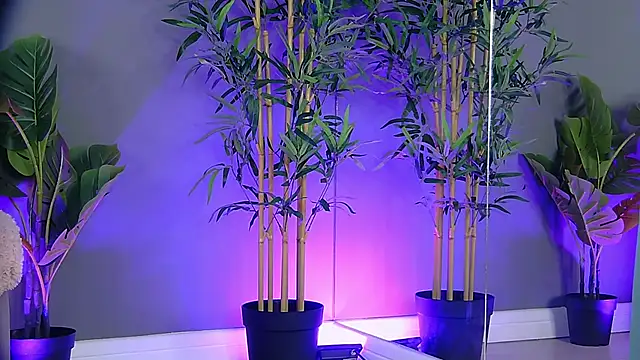 Snapshot of PatriciaSpice chatting on October 27, 5:19 am PatriciaSpice online show from October 27, 5:19 am