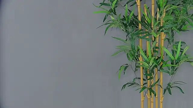 PatriciaSpice online show from March 3, 5:14 am