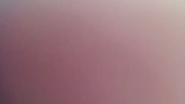 Kitten Cam online show from April 29, 10:38 pm
